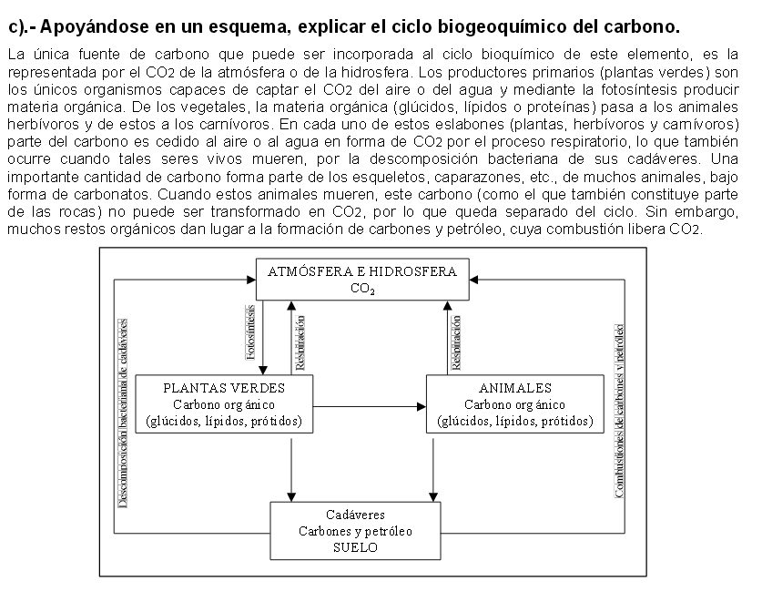 Ciclo Biogeoquímico del Carbono